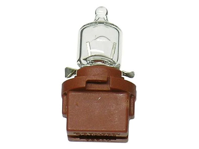 Bulb - Jahn 1898