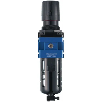 Prevost TM 202 Filter Regulator 3/8" FNPT