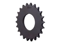 50TTA21-25 SPK ROLLER TORQUE LIMITER
