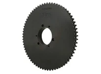 D60E76 Roller Chain Sprocket QD Bushed